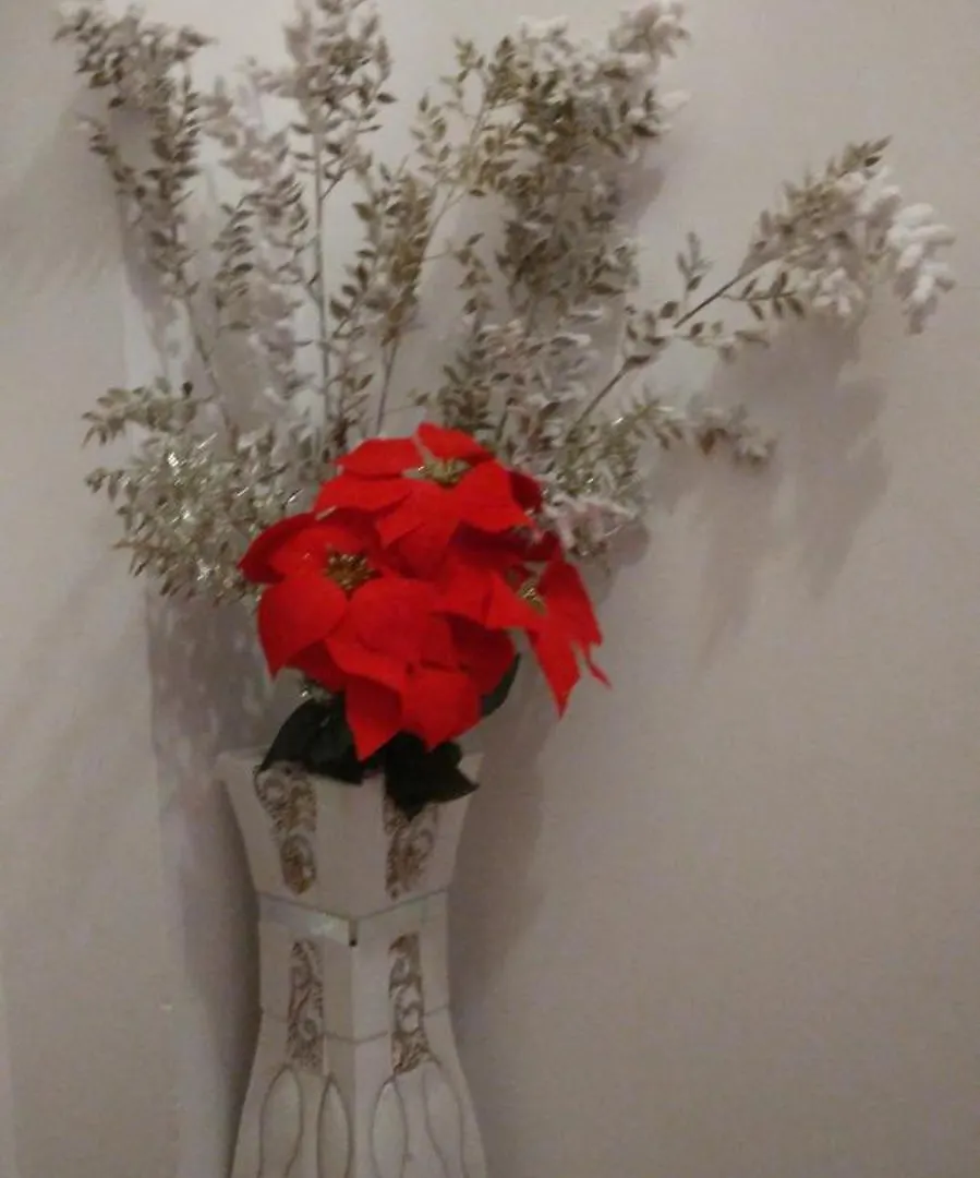Oasi Felice Apartment Levanto